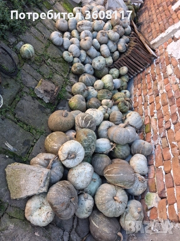 Тиква 0,30 ст / кг