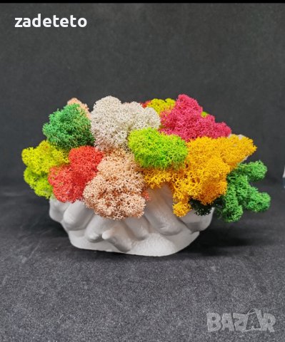 Кашпа ръце със пъстри цветове скандинавски мъх