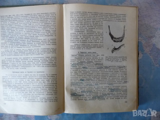 Анатомия на двигателния апарат Димитър Каданов скелет кости мускули, снимка 2 - Специализирана литература - 40730117