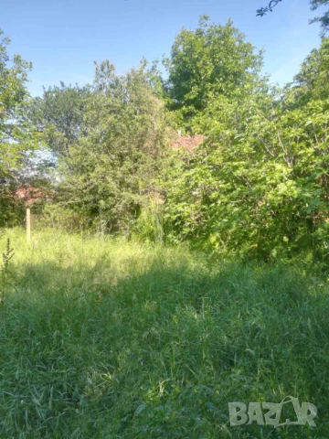 Продавам селска къща , снимка 5 - Къщи - 50744260