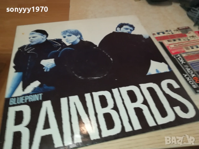 RAINBIRDS-MADE IN WEST GERMANY 2808251724, снимка 8 - Грамофонни плочи - 51525419