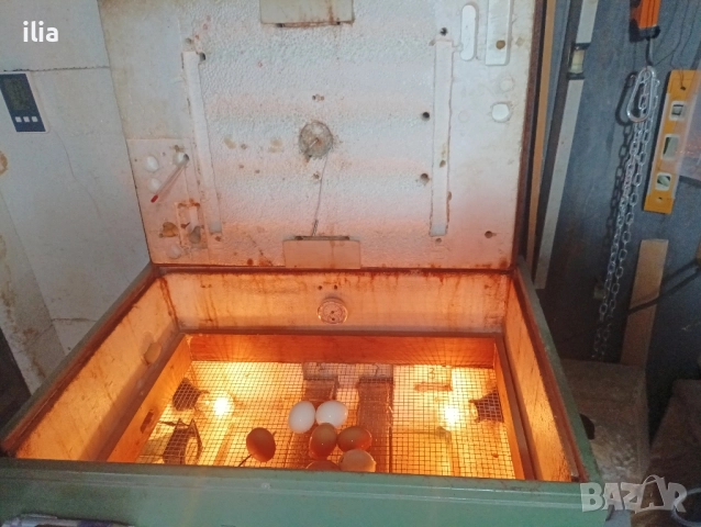 продавам , снимка 3 - За селскостопански - 51978407