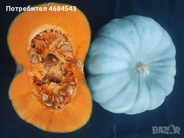 Тикви, снимка 3 - Домашни продукти - 53025349