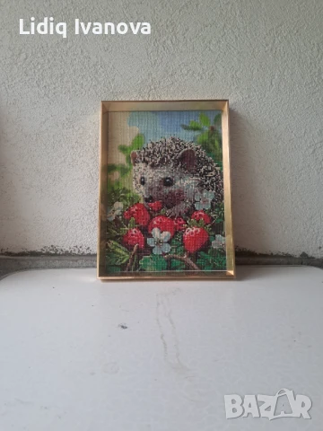 Диамантен гоблен таралеж-готов и рамкиран, снимка 3 - Гоблени - 50475541