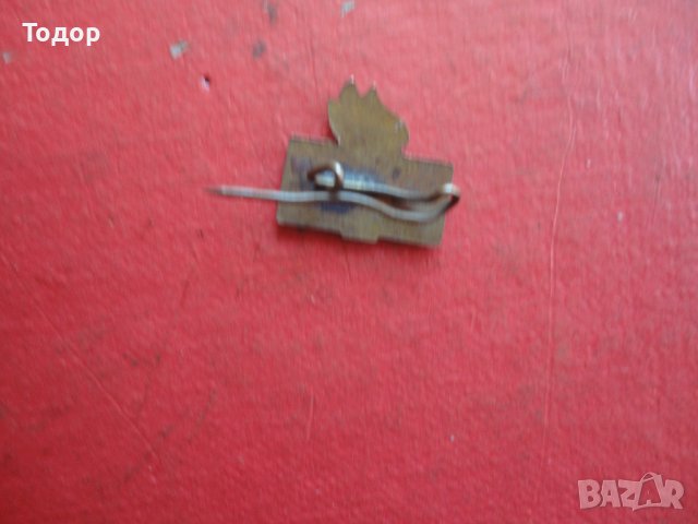 Знак значка БФС Бронз емайл , снимка 4 - Колекции - 42197712