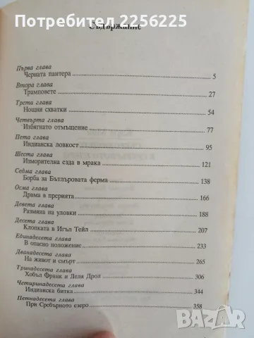 Съкровището в сребърното езеро, снимка 3 - Художествена литература - 56196540