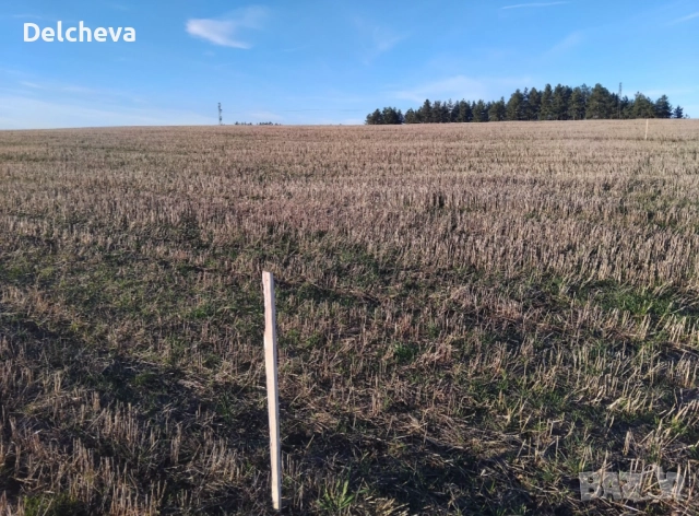 Земеделска земя област Перник, град Батановци 4451кв.м, снимка 11 - Земеделска земя - 52595651