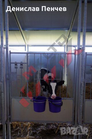 Клетки за телета, снимка 7 - За селскостопански - 34654632