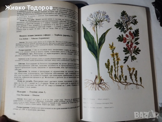 Билките в всеки дом/Здраве от аптеката на Господ/Лековити билки.Рецепти,съвети/Лекарствени растения, снимка 6 - Специализирана литература - 46956290