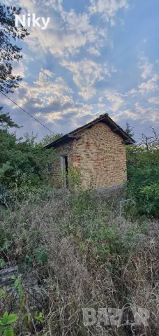 Имот в село Дралфа , снимка 5 - Къщи - 47945318