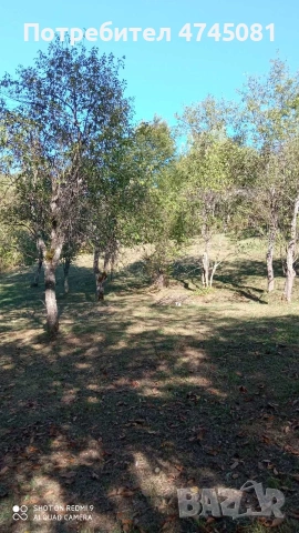 Къща с двор , снимка 5 - Къщи - 53578696