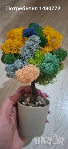 Дърво със скандинавски мъх , снимка 2 - Други - 47986457