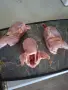 Пресно пъдпъдъче месо , снимка 1