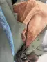 Продавам офицерски шлифери, снимка 5