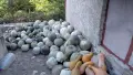 Продавам Бели тикви, снимка 3