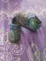Бебешки обувки Todor 19н анатомични, снимка 10