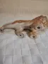 Порцеланова статуетка на лъв, снимка 4