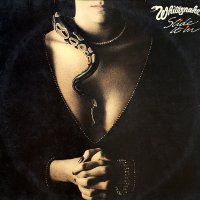 Грамофонни плочи Whitesnake ‎– Slide It In, снимка 1 - Грамофонни плочи - 41942832