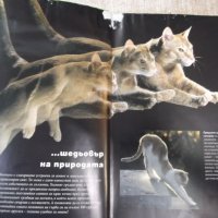 Книга "Всичко за котката - д-р Брус Фогъл" - 288 стр., снимка 3 - Специализирана литература - 42499977