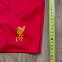 Liverpool / Warrior / детски футболни шорти на Ливърпул, снимка 6 - Детски къси панталони - 42576497