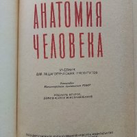 Анатомия Человека - М.Курепикина,Г.Воккен - 1963г. , снимка 3 - Специализирана литература - 39010401