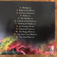 Rich Shapero - Too Far + Audio CD, снимка 12 - Художествена литература - 38605845