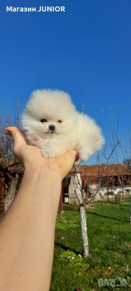 мини момиче, снимка 1