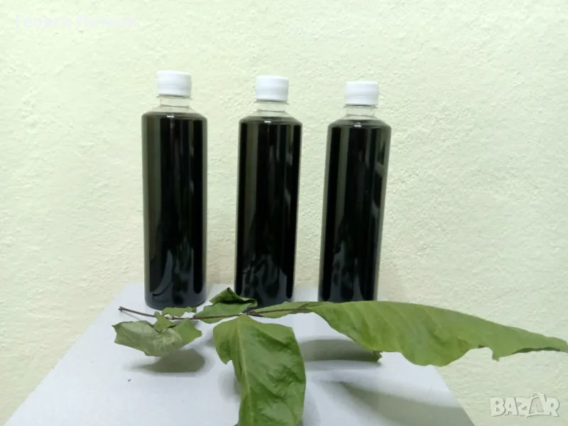 Зелено орехче - Еликсир., снимка 1