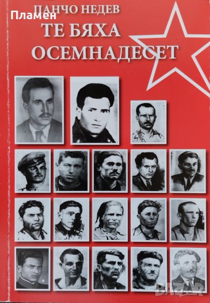 Те бяха осемнадесет Панчо Недев, снимка 1