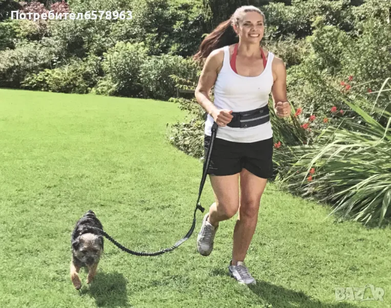 Каишка за куче / Разхождайте и тичайте с Вашето куче със свободни ръце /, снимка 1