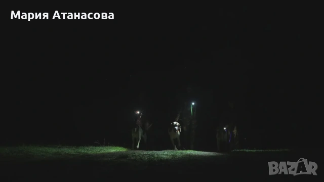 Dogtra Pathfinder 2 – GPS система за следене и обучение на ловджийски кучета, снимка 15 - За кучета - 53043748