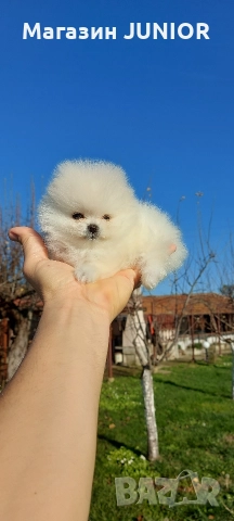 мини момиче