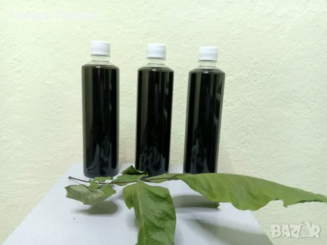 Зелено орехче - Еликсир.