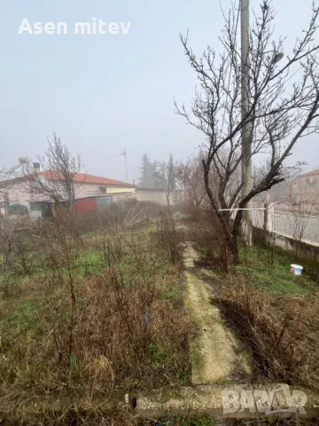 Почистване на  дворове и градини, снимка 17 - Други почистващи услуги - 48963395