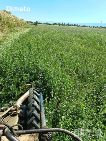 Бали люцерна, снимка 5 - За селскостопански - 51785234