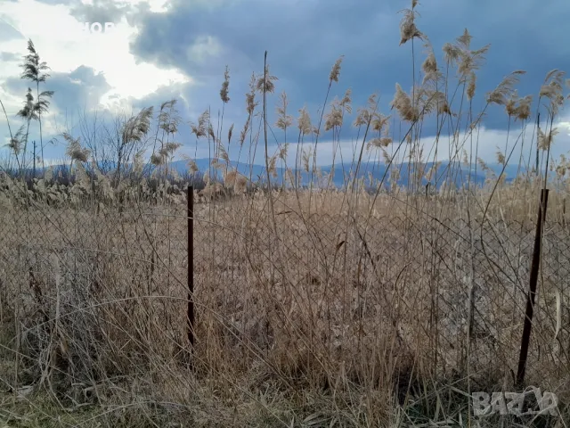 ‼️ЗЕМЕДЕЛСКА ЗЕМЯ‼️ -КЮСТЕНДИЛ‼️ 2дк, снимка 6 - Земеделска земя - 48894350