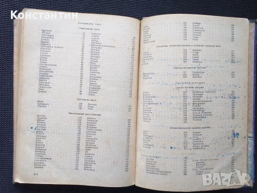 Цветарство Тираж - 1500 броя Учебник , снимка 7 - Специализирана литература - 41142458