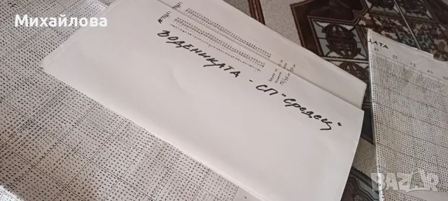 Схема, панама и мостри на конци на гоблена "Запустялата воденица", снимка 6 - Гоблени - 48555021