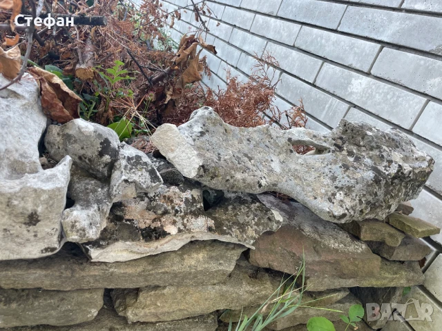 Камъни за алпинеум, снимка 5 - Градински мебели, декорация  - 51324424