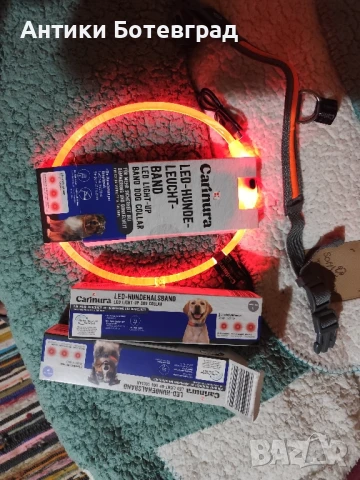 Светещи каишки за куче 