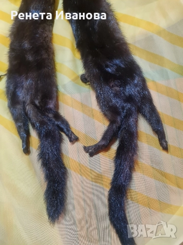 Много стара яка от норка , снимка 3 - Антикварни и старинни предмети - 52427698