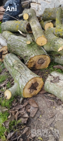  Суров дървен материал орех, снимка 5 - Други - 52775870