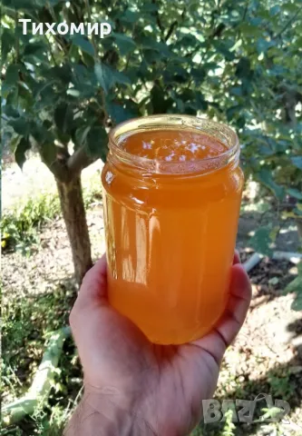 Пчелен мед, Букет с букет реколта 2025, снимка 3 - Пчелни продукти - 26615530