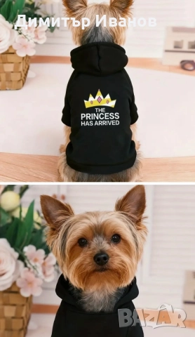 Модерни дрехи за кучета: Суичъри (Худита) с надписи, Пуловер (S, M), снимка 3 - За кучета - 52574572