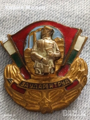 Нагръден знак За Ударен труд с емайл медал за КОЛЕКЦИОНЕРИ 28667, снимка 2 - Антикварни и старинни предмети - 51050235
