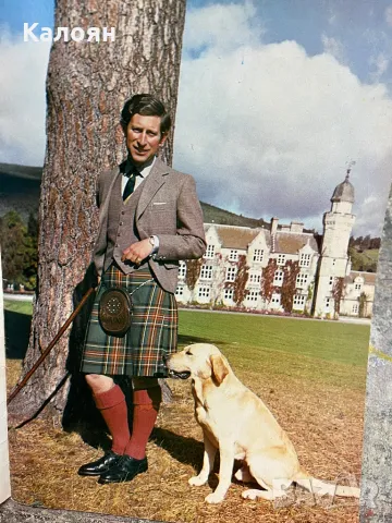 Списание кралското семейство, снимка 7 - Колекции - 49418412