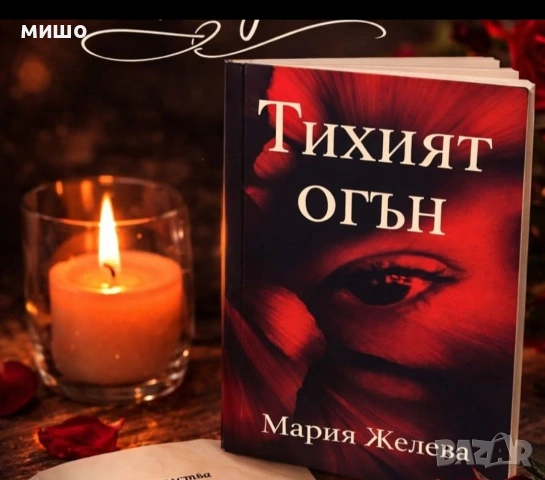 Тихият огън, снимка 2 - Художествена литература - 53836880