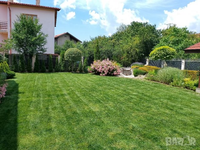 *Топ Градинар* - Поддръжка на зелени площи!, снимка 3 - Други - 38950351