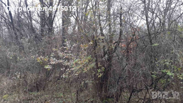 Парцел гр.Лакатник, снимка 2 - Парцели - 52772860