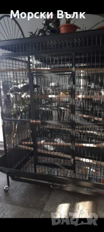 Голяма клетка, снимка 3 - За птици - 50772459
